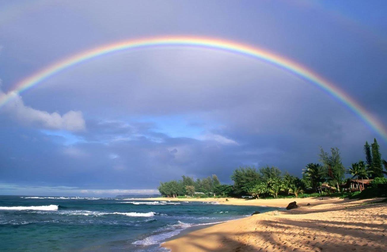 You are currently viewing Happy New Beginning